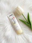 SANA Nameraka Honpo Medicinal Whitening Skin Care UV Base 50g